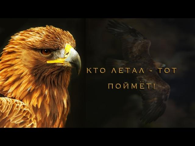 Who flew - he will understand! - Clip - Egor and Natalia Lancere / Christian music clip - Eagle