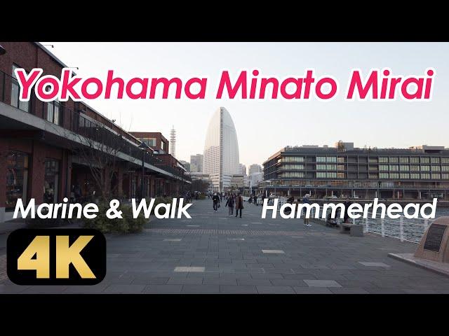 Walking around Yokohama Minato Mirai. Tour the Hammerhead, Marine & Walk, etc.