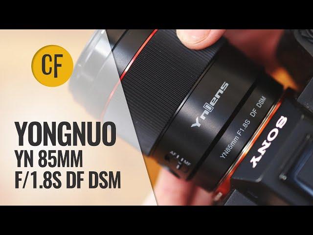 Yongnuo YN 85mm f/1.8 S DA DSM lens review with samples (Full-frame & APS-C)