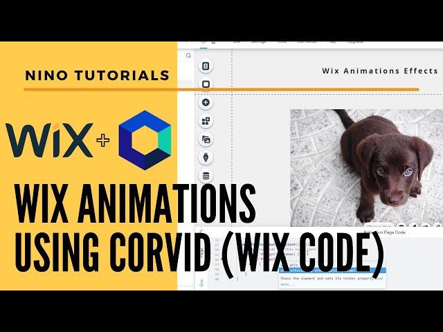 Wix Animations using Velo for Beginners (Wix Code)