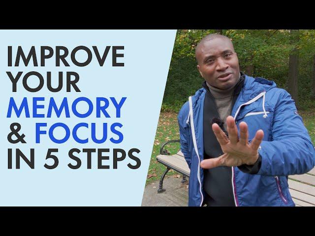 Become a Better Learner: 5 things you can do to improve focus & memory