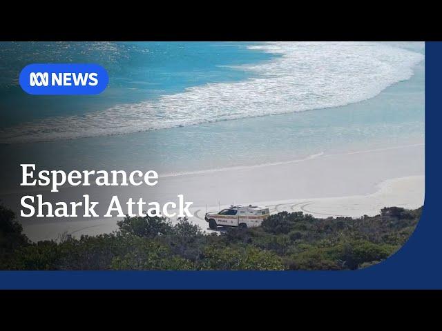 Surfer search continues after shark attack near Esperance | ABC NEWS