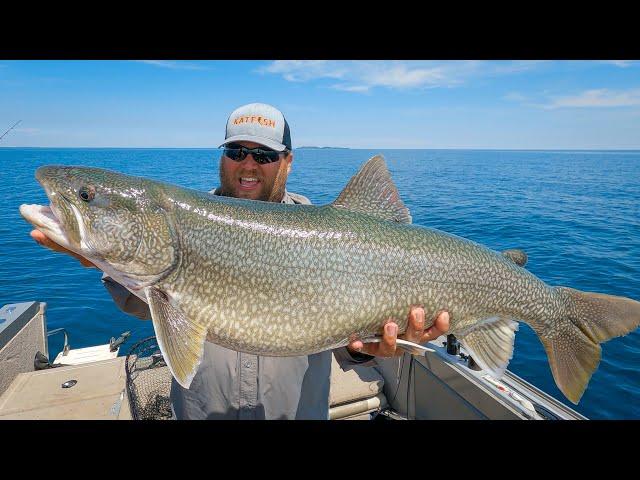 Vertical Jigging MASSIVE Lake Superior Lake Trout (Underwater Footage)