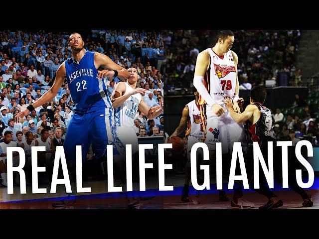 World's Tallest Basketball Players Ever (Not in the NBA)