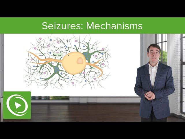 Seizures: Mechanisms | Clinical Neurology