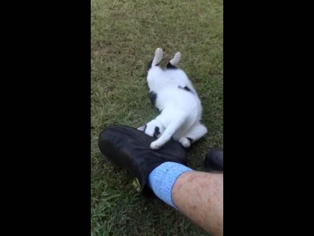 Rabbit's foot fetish