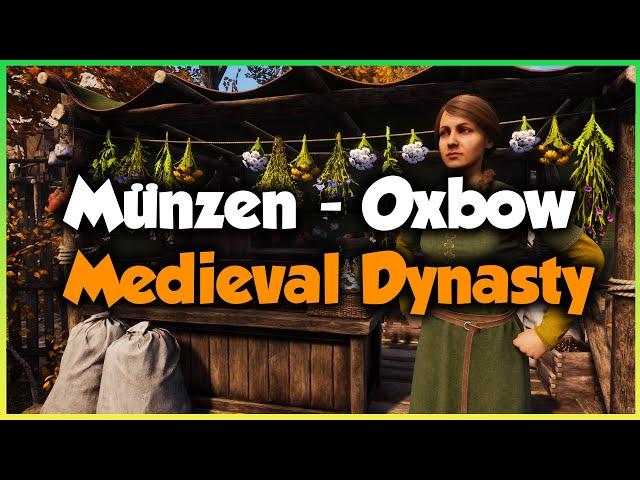 SO verdienst du dir Münzen in Oxbow  MEDIEVAL DYNASTY  GUIDE