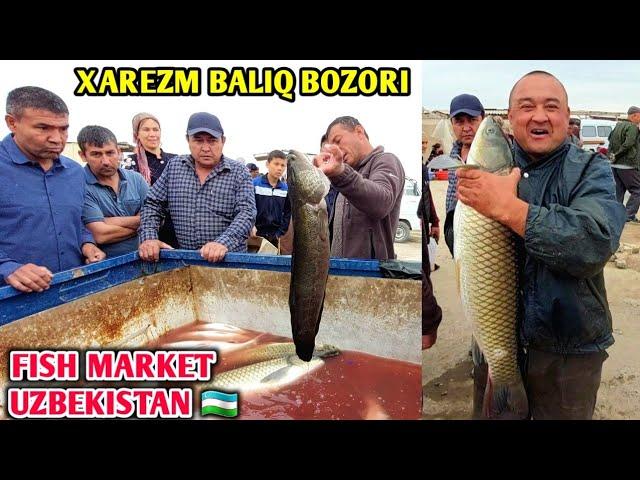 FISH MARKET PRICES UZBEKISTAN XORAZM BALIQ BOZORI QO'SHKO'PIR 4-May 2023