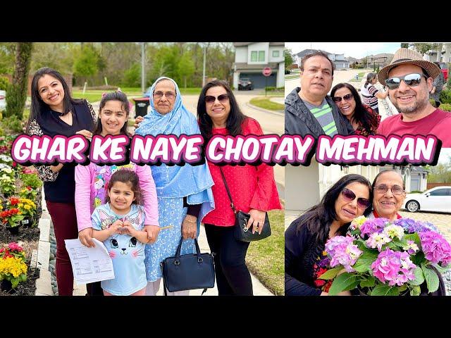 Ghar Me Naya Izafa ️ |  Naye Chotay Mehman  | Phoolon ki Shopping | Secret Talent Reveled!