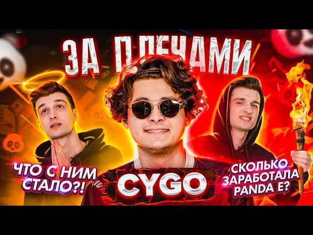 За Плечами у CYGO - куда пропал, сколько заработала Panda E и проблемы с законом