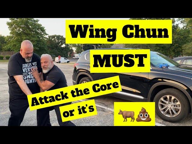 Wing Chun MUST Attack the Core or it’s Bullsh*t!