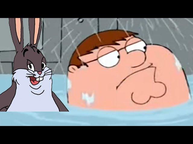 peter doesn't think big chungus is funny
