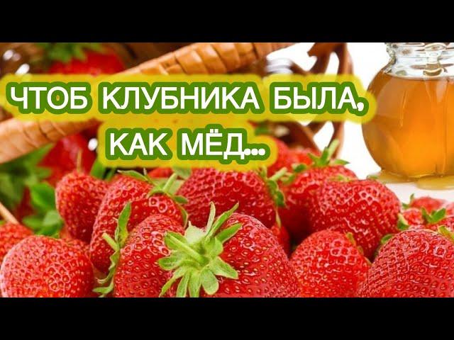 САМАЯ ЛУЧШАЯ ПОДКОРМКА ДЛЯ КЛУБНИКИ - если вкус ягод как вода.