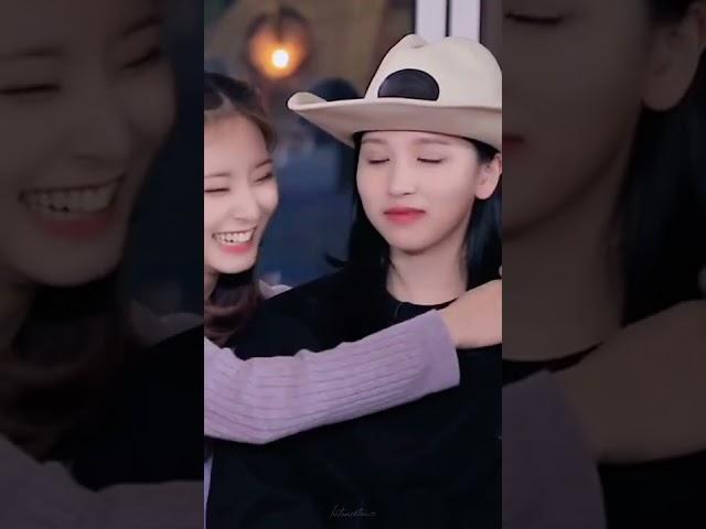 MiTzu really melt my heart!  They're so cute 