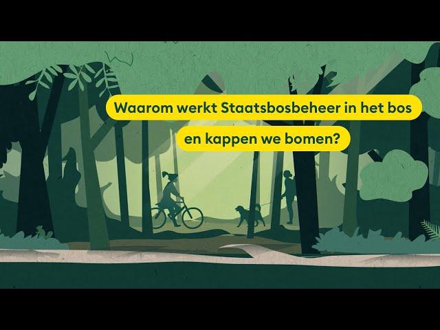 Waarom werkt Staatsbosbeheer in het bos en kappen we bomen?