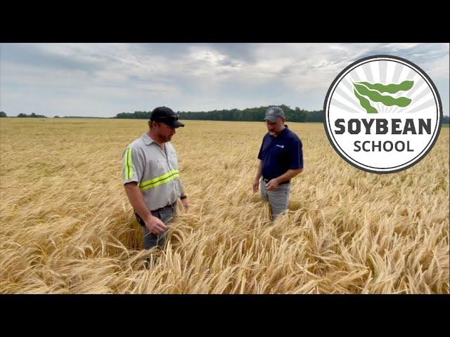 Soybean School: Learning from 20 years of double cropping