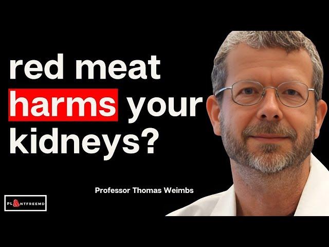  Too Much Meat Will DESTROY The Kidneys? Here Are The Facts! | Professor Thomas Weimbs
