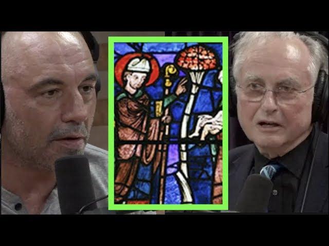 Joe Rogan Asks Richard Dawkins About Heaven, Psychedelics