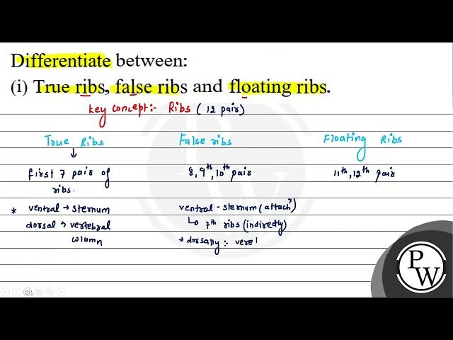 Differentiate between: (i) True ribs, false ribs and floating ribs.