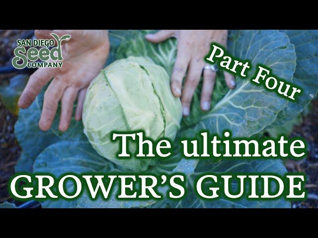 Understanding Cultural Practices to Grow Your Own Food Efficiently | Ultimate Grower's Guide