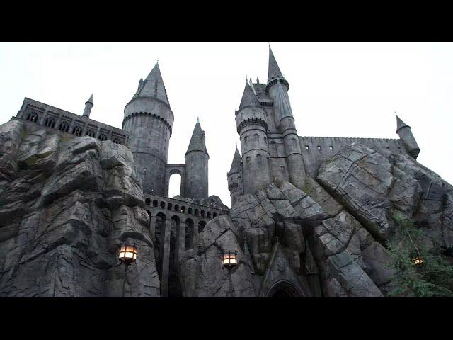 Woman Wins $7.25M After Harry Potter Ride Injury