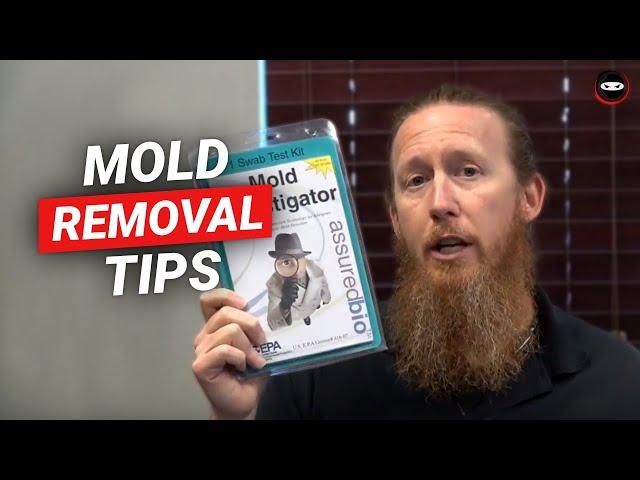 Crawl Space Mold Removal Tips | DIY Mold Remediation Crawl Space