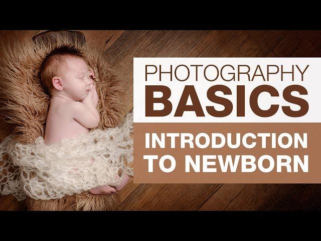 PHOTOGRAPHY BASICS | Introduction to Newborn