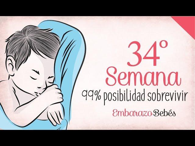 SEMANA 34 de #Embarazo | 8º Mes | Semana a semana