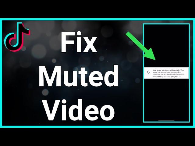 How To Fix A Muted Video On TikTok