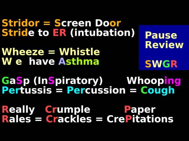 Lung Sounds Breath Auscultation Stethoscope Mnemonic Clinical Tutorial