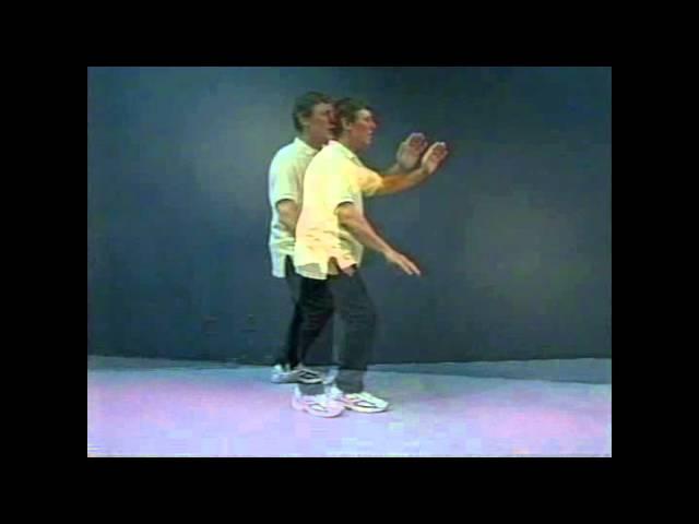 Yang Style Tai Chi Long Form Special Lesson - The Feet