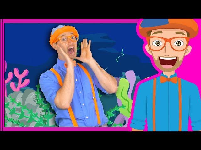 Ocean Animal Song by Blippi | Nursery Rhyme Songs for Children