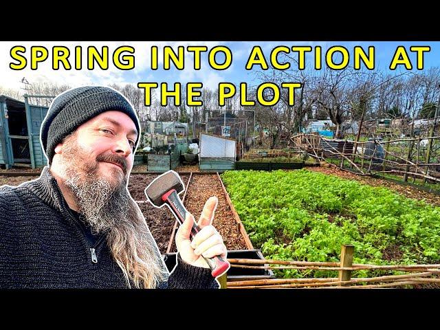 Allotment Raised Beds & Borders | ALLOTMENT GARDENING UK