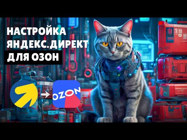 Настройка Яндекс Директ для ОЗОН, внешняя реклама для OZON