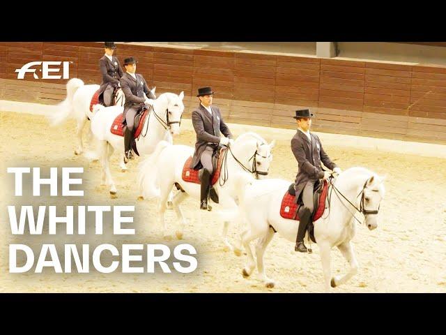 Lipica Stud: Home of the famous white Lipizzaner | RIDE presented by Longines