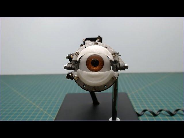 3D printed animatronic eye!