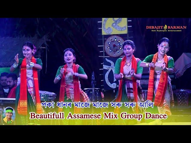 Poka Dhanor Maje Maje Soru Soru Ali ll Beautiful Assamese Mix Dance ll Nogaon 2023