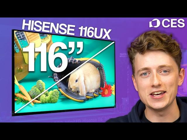 Hisense 116" RGB-Mini LED TV: A Game Changer in 2025!