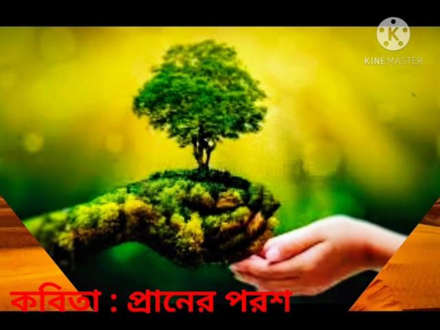 কবিতা : প্রানের পরশ। রচনা ও পাঠ : মিলি সেনাপতি।