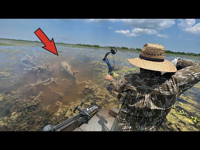 Shooting Fish in a LOADED UP Pond (CATCH AND COOK)