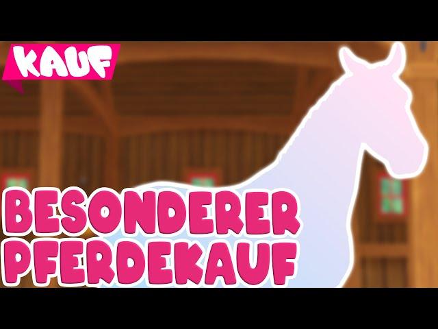 Lovely - American Saddlebred mit besonderer Bedeutung  PFERDEKAUF  Star Stable Online