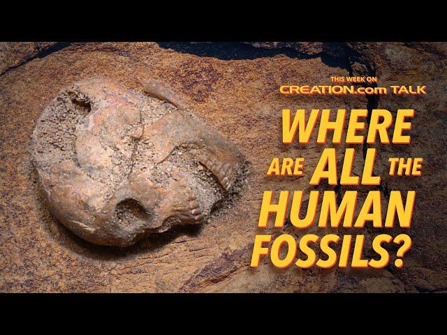 Where Are All the Human Fossils?