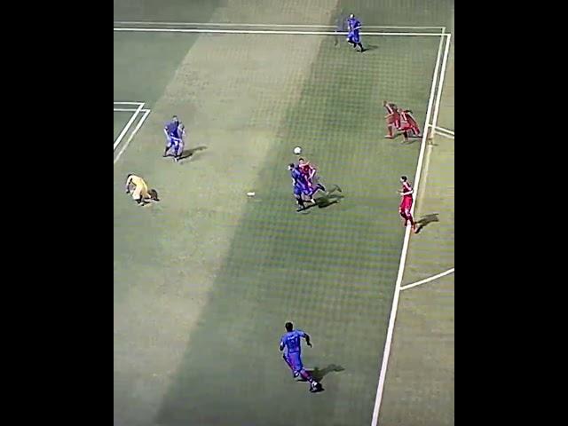 Worst goal ever?  | FIFA 15 #Shorts #FIFA #PS3