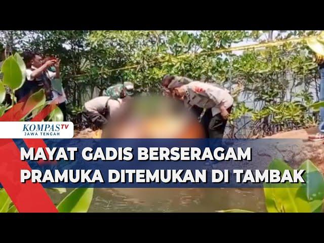 Mayat Gadis Berseragam Pramuka Ditemukan Di Tambak