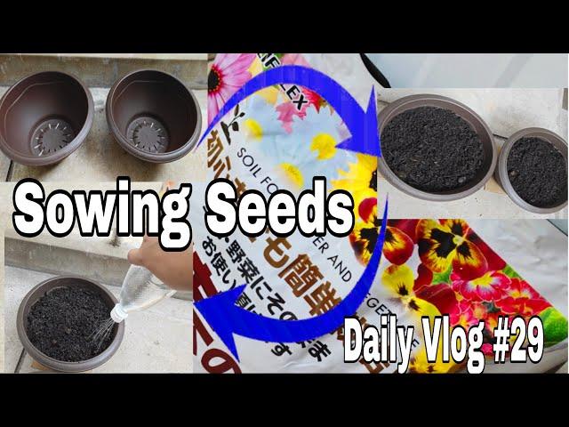 Daily Vlog || Gardening in Progress || Sowing Chilly and Coriander Seeds || Ranjan Cndl