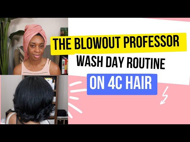 The Blowout professor wash day routine on 4c hair 2024 (short version)