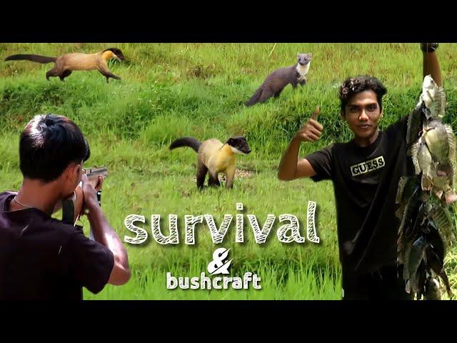 SURVIVAL HUNTING BONUSNYA 2 EKOR MUSANG LEHER KUNING