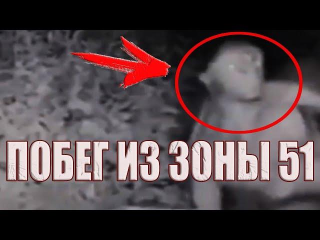 Они сбежали из Зоны 51 на подбитом НЛО? Пришельцы попали на камеру наблюдения в Лас-Вегасе