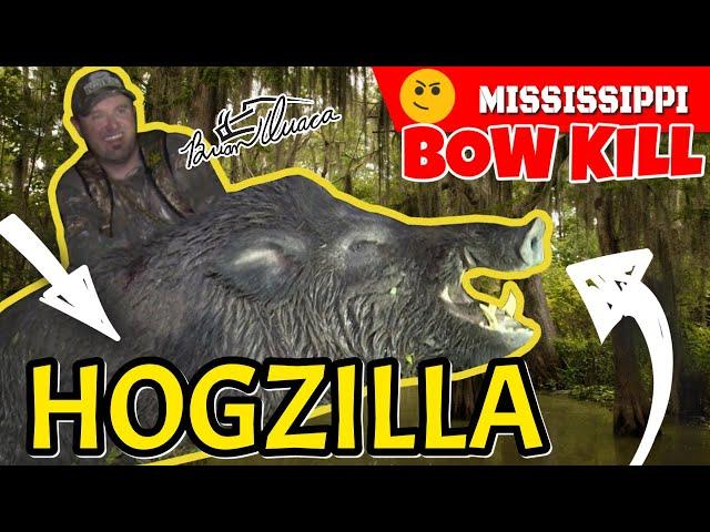 MISSISSIPPI HOGZILLA - Pigman Shanks a Monster Boar from 30' High