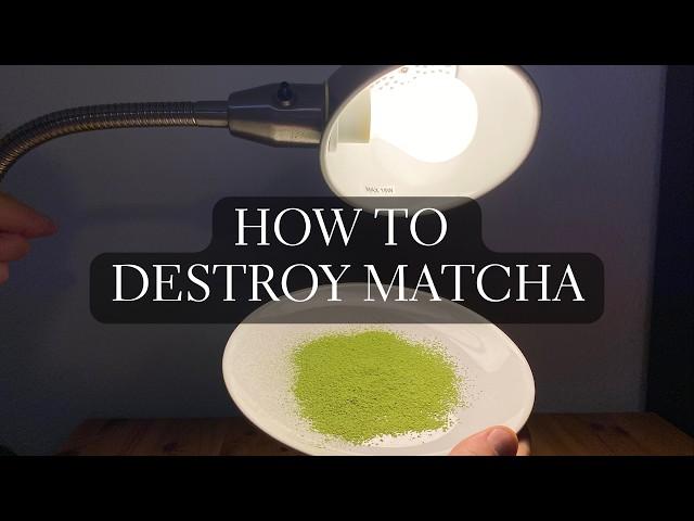 Don't Destroy Your Matcha! Follow These Matcha Storage Tips